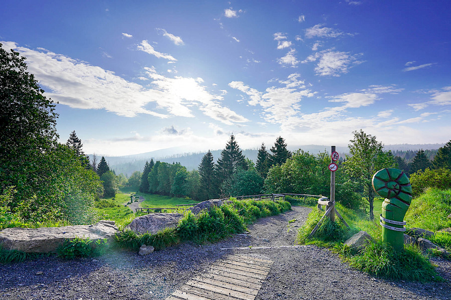Die schönste Wanderung auf dem Harzer Hexenstieg von Osterode nach Quedlinburg