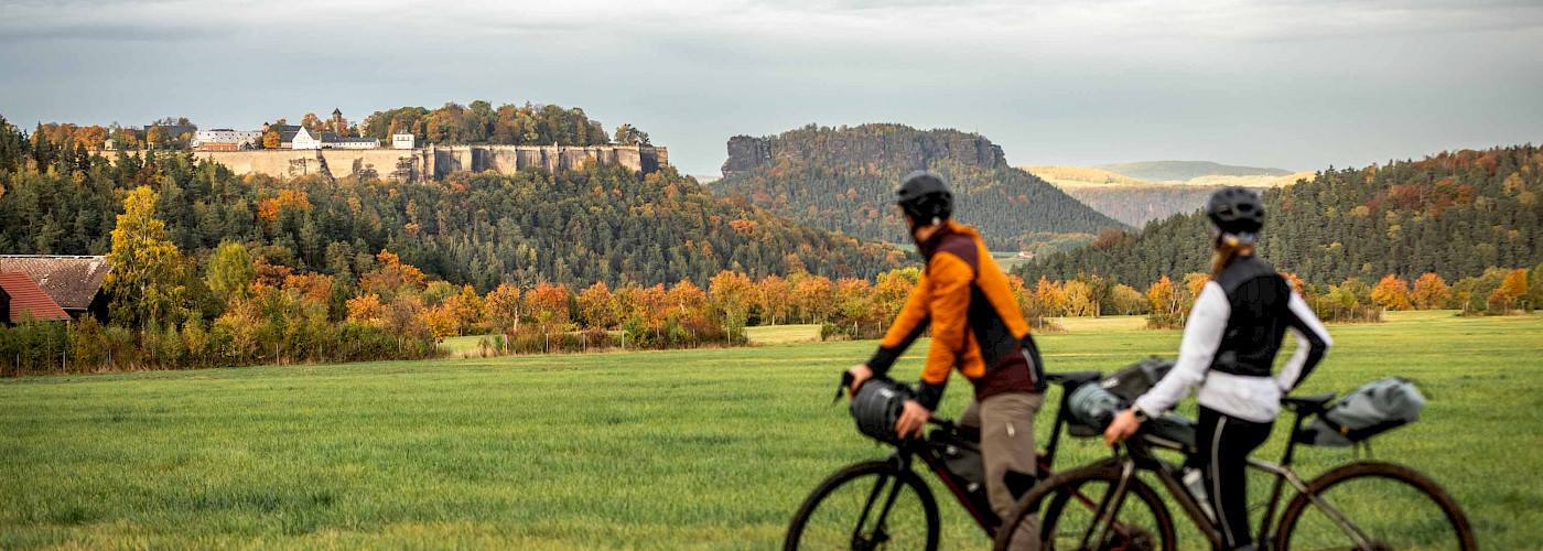 Rockhead Festung Königstein