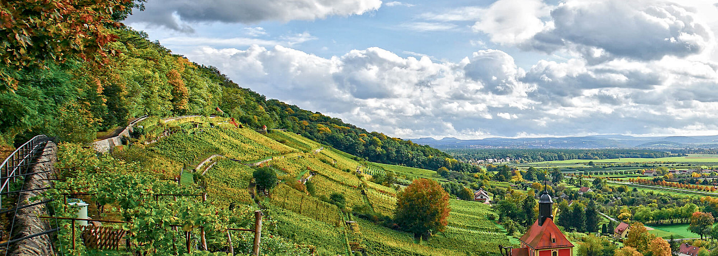 Sächsischer Weinwanderweg Pillnitz